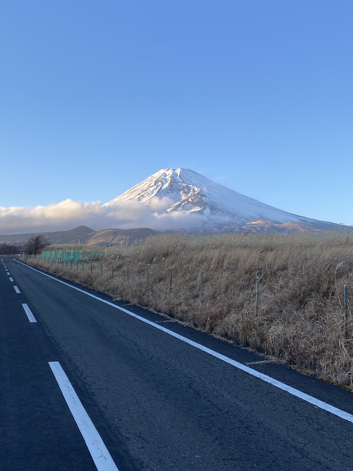 登山道のハイキング