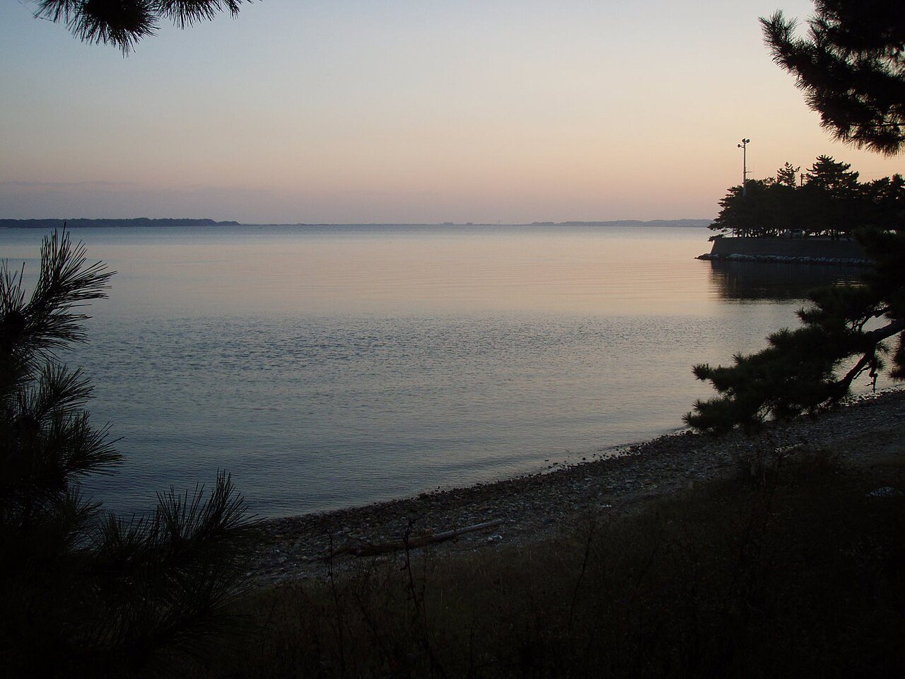 夕暮れの浜名湖と松の木。ハマイチサイクリングの絶景ポイント