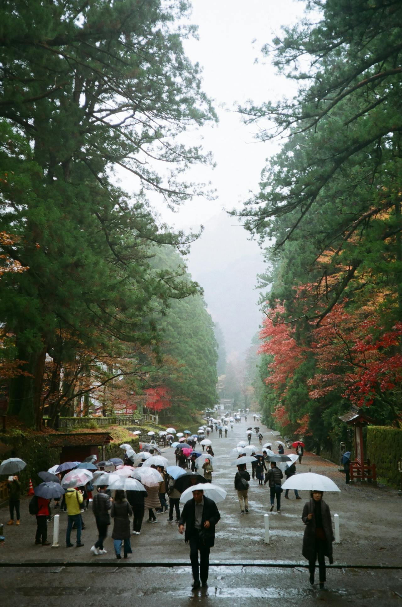 梅雨デート 雨の日の散歩