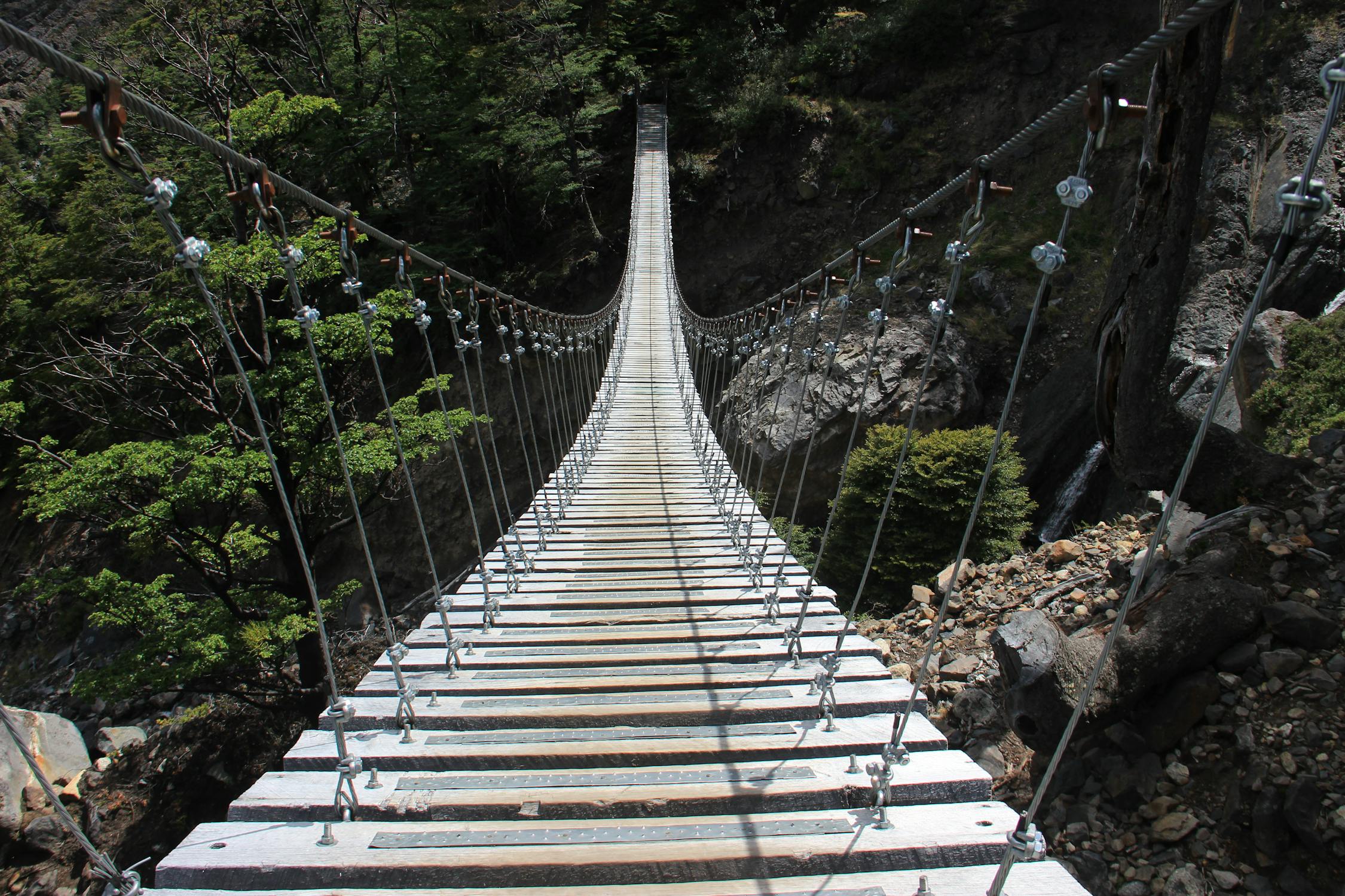 自然の中の吊り橋