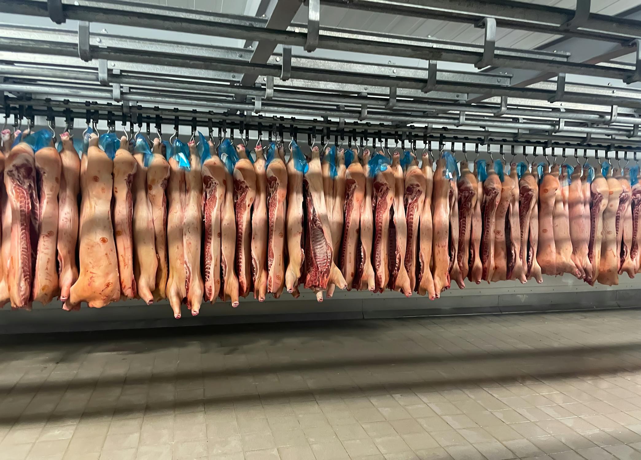 豚肉の安全性イメージ