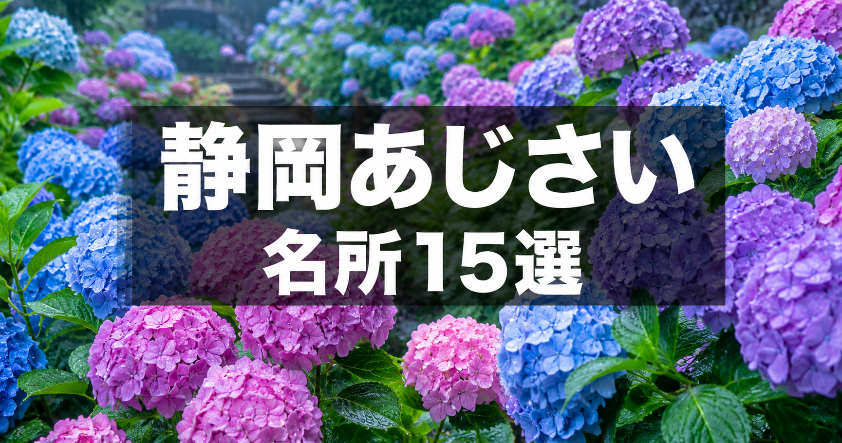 静岡あじさい名所15選