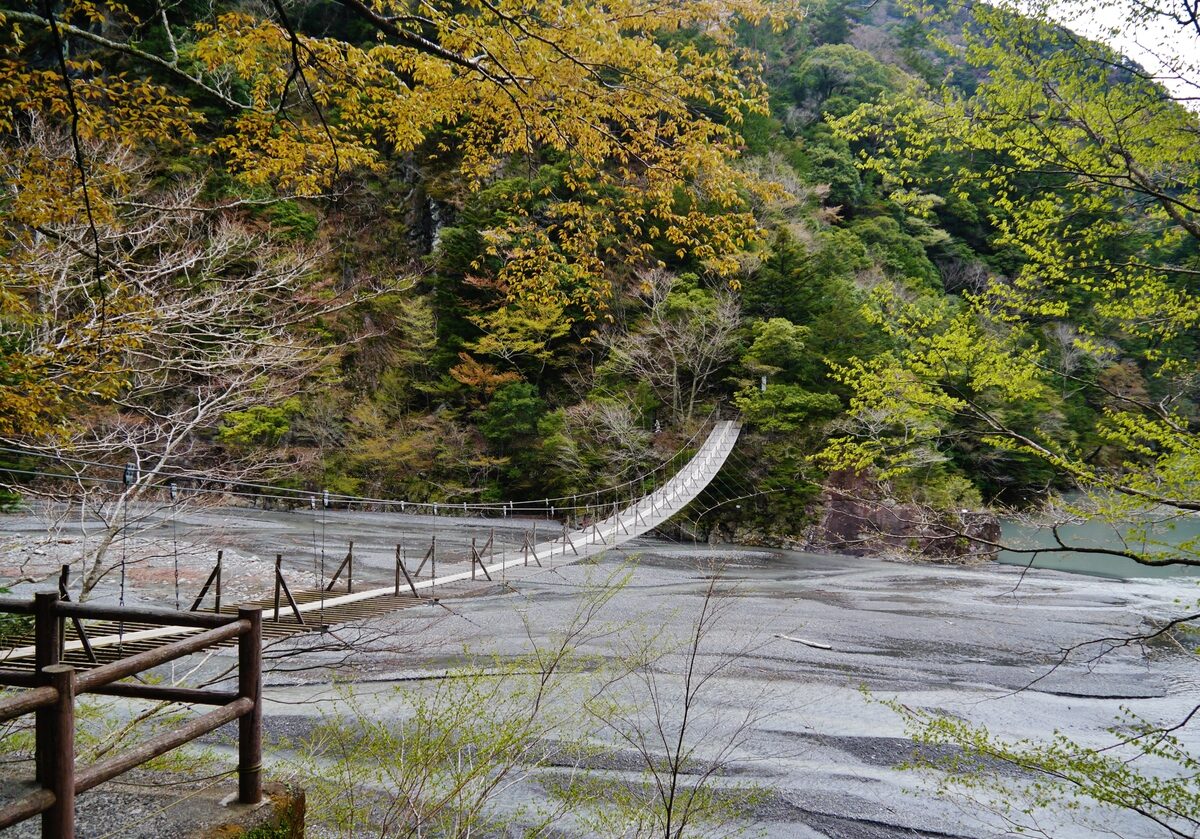 寸又峡 夢の吊り橋を河原から見上げた景色