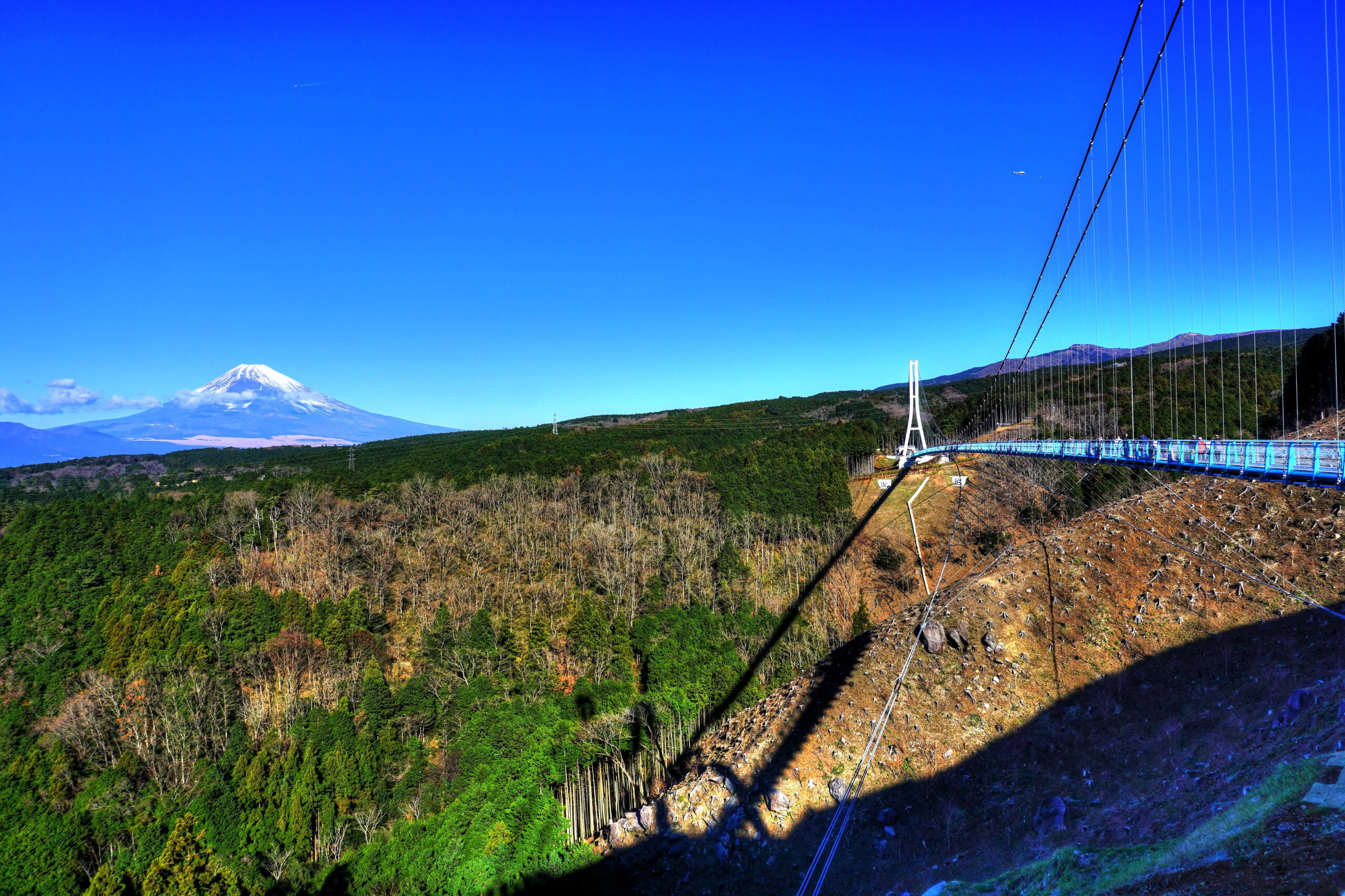 三島スカイウォーク本体(日本最長400m歩行者専用吊橋)と富士山