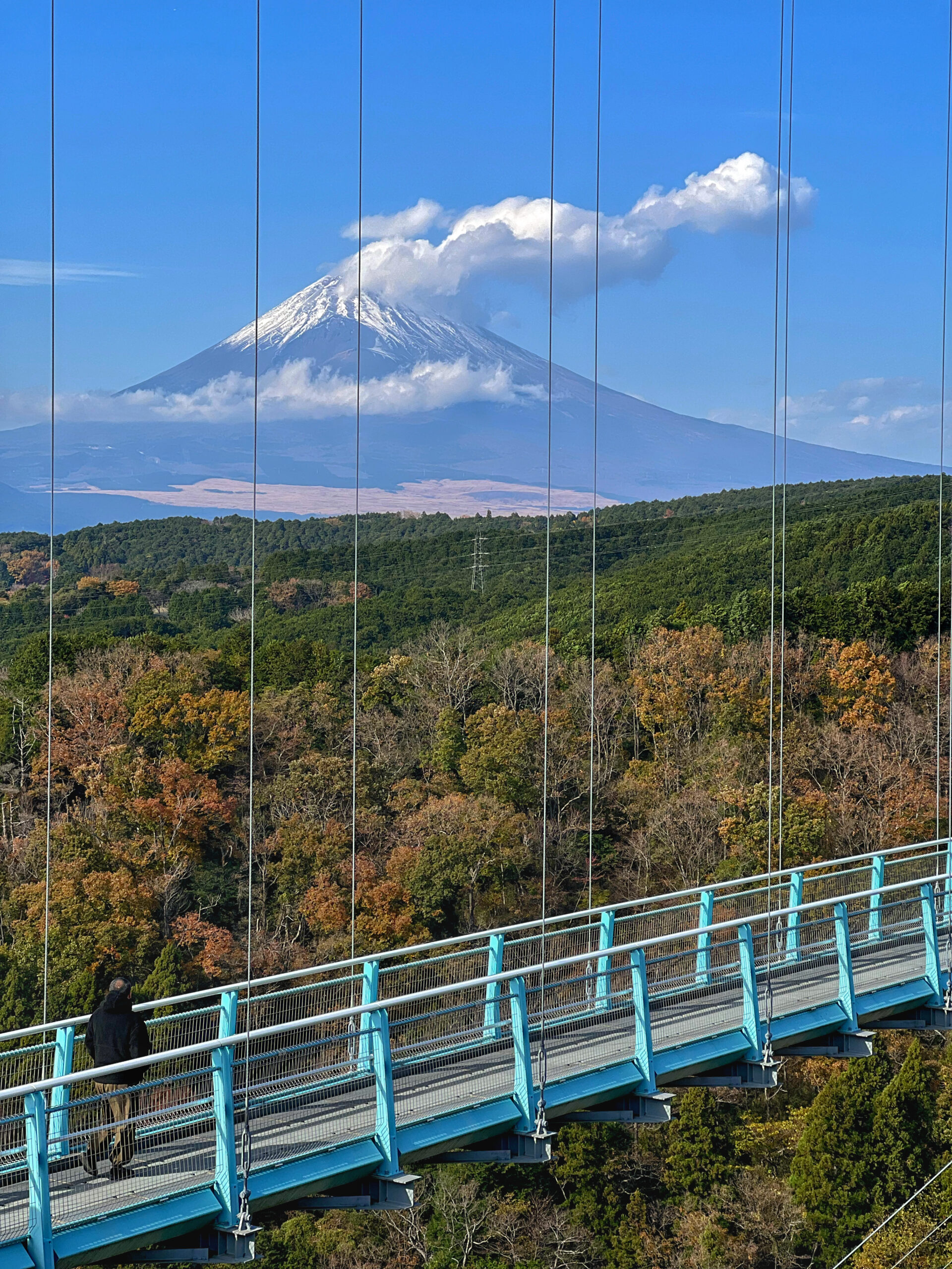 三島スカイウォークから望む富士山