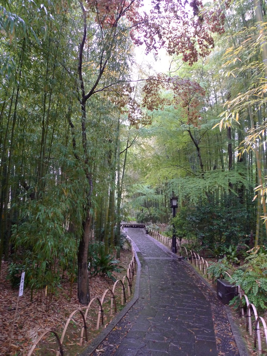 修善寺温泉 竹林の小径｜静寂と緑に包まれた散策路