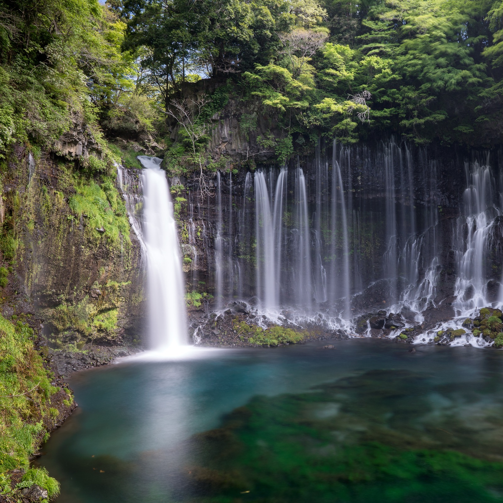 富士宮市・白糸の滝。富士山の湧水が幾筋もの滝となって落ちる夏のエメラルド滝壺