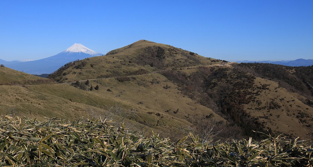 富士山を望む西伊豆スカイラインの稜線（達磨山）