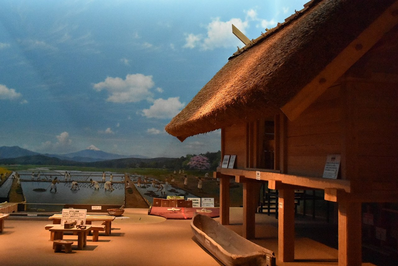 登呂博物館で復元された弥生時代の暮らし（高床倉庫と水田の展示）