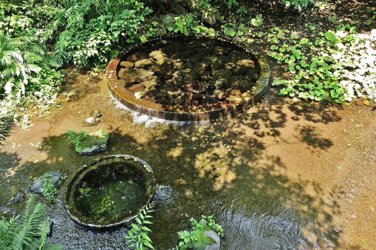 柿田川公園の円形の湧き間