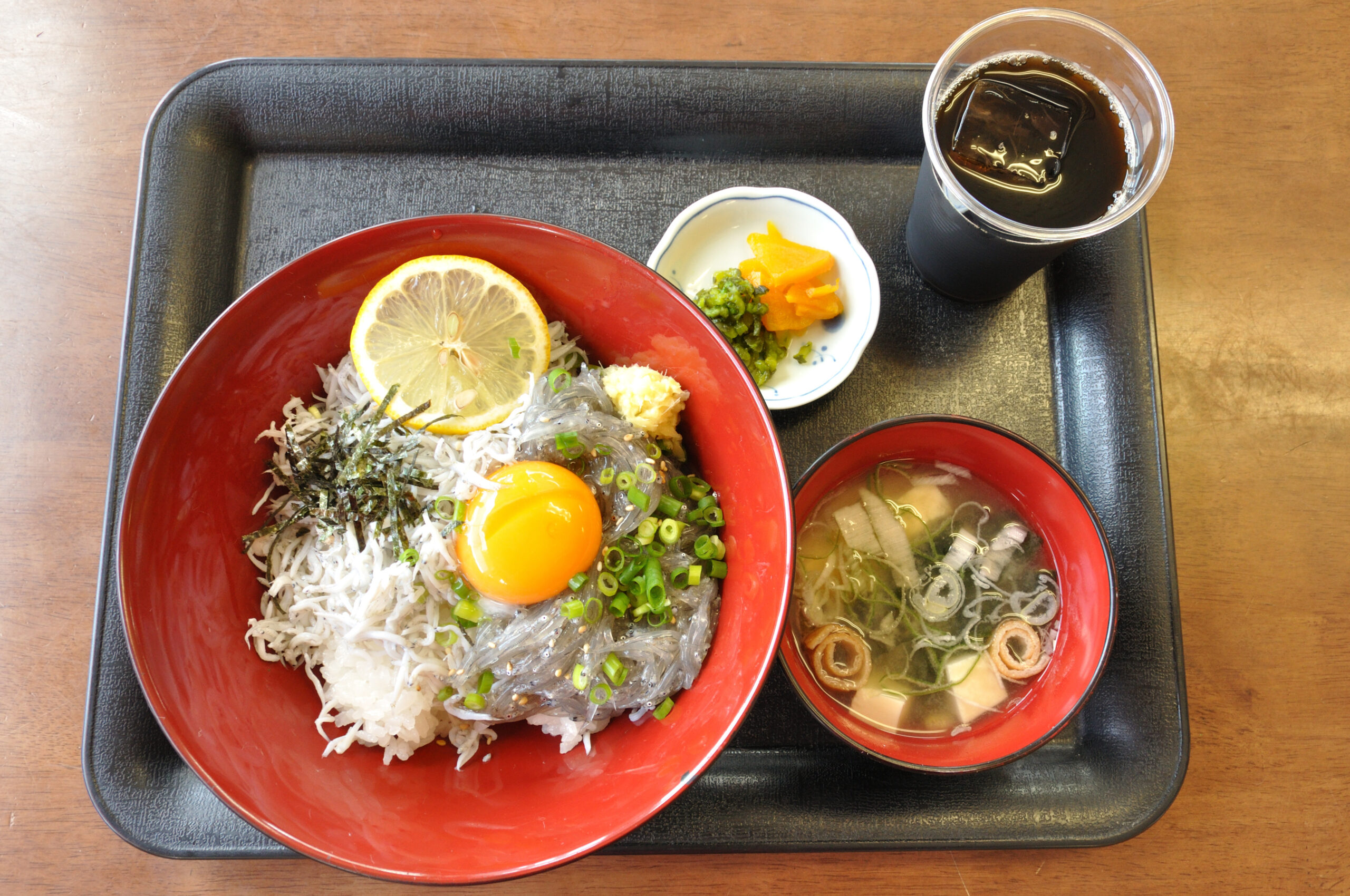 田子の浦のしらす丼（白米にしらすがびっしり）