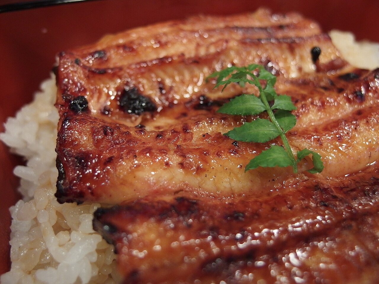 重箱に盛られた蒲焼の接写（浜名湖うなぎのイメージ）
