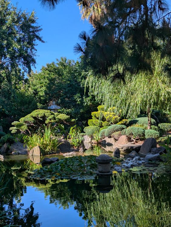 緑豊かな蓮華寺池公園