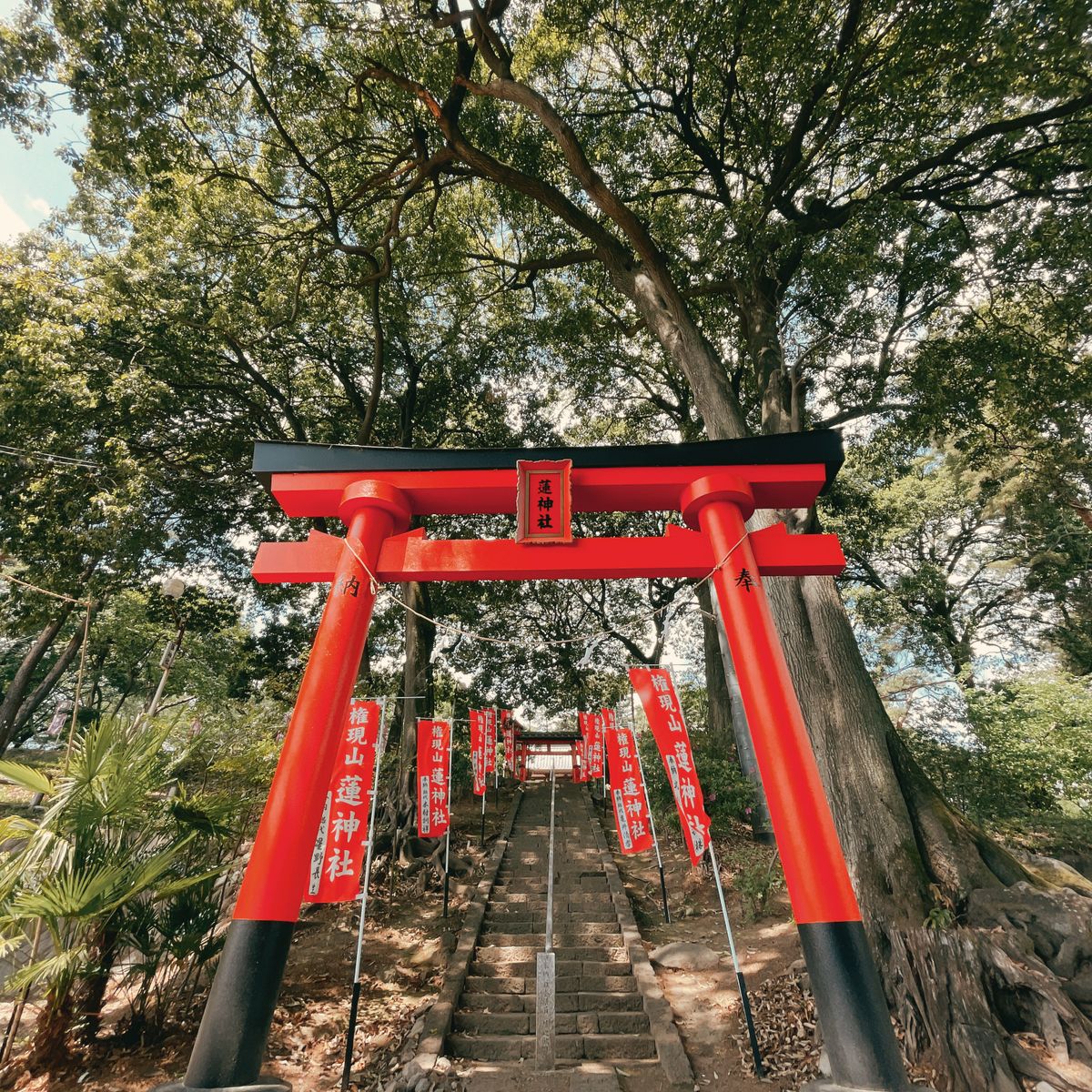 三嶋大社の鳥居と石段