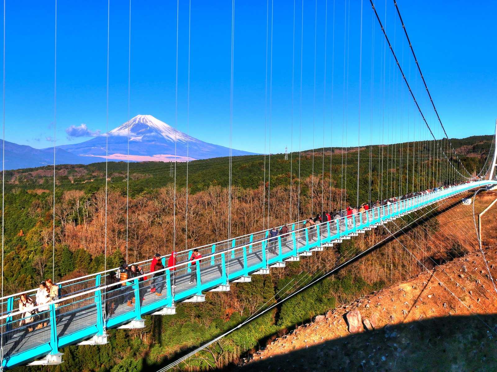 三島スカイウォークを渡る人々と富士山