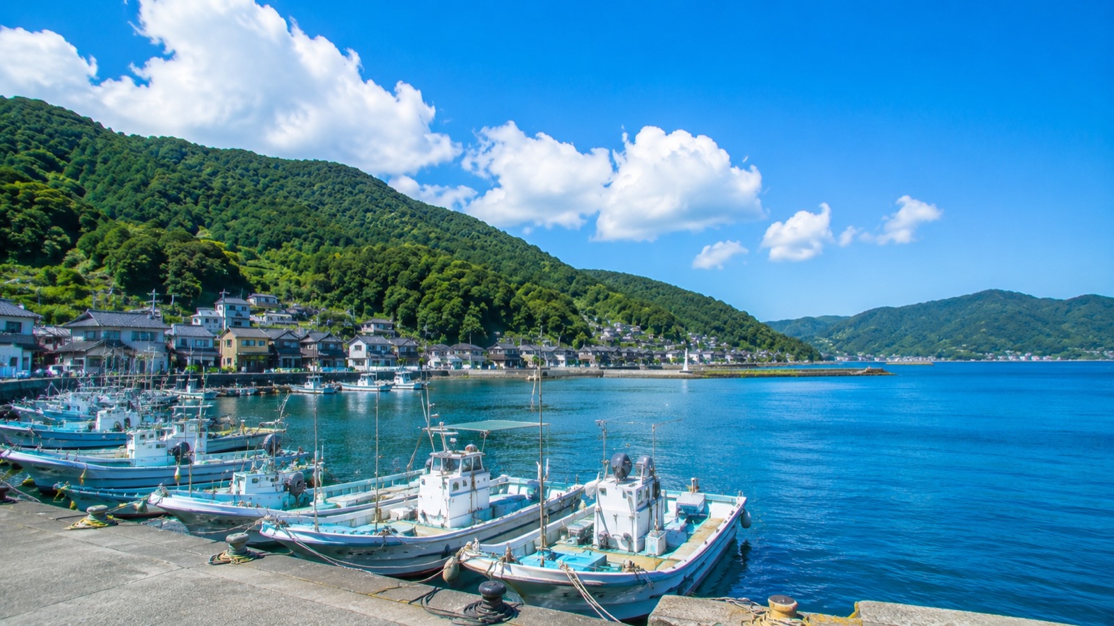 夏の晴れた日の漁港。岸壁に並ぶ漁船と青い湾、後ろに緑の山と家並み