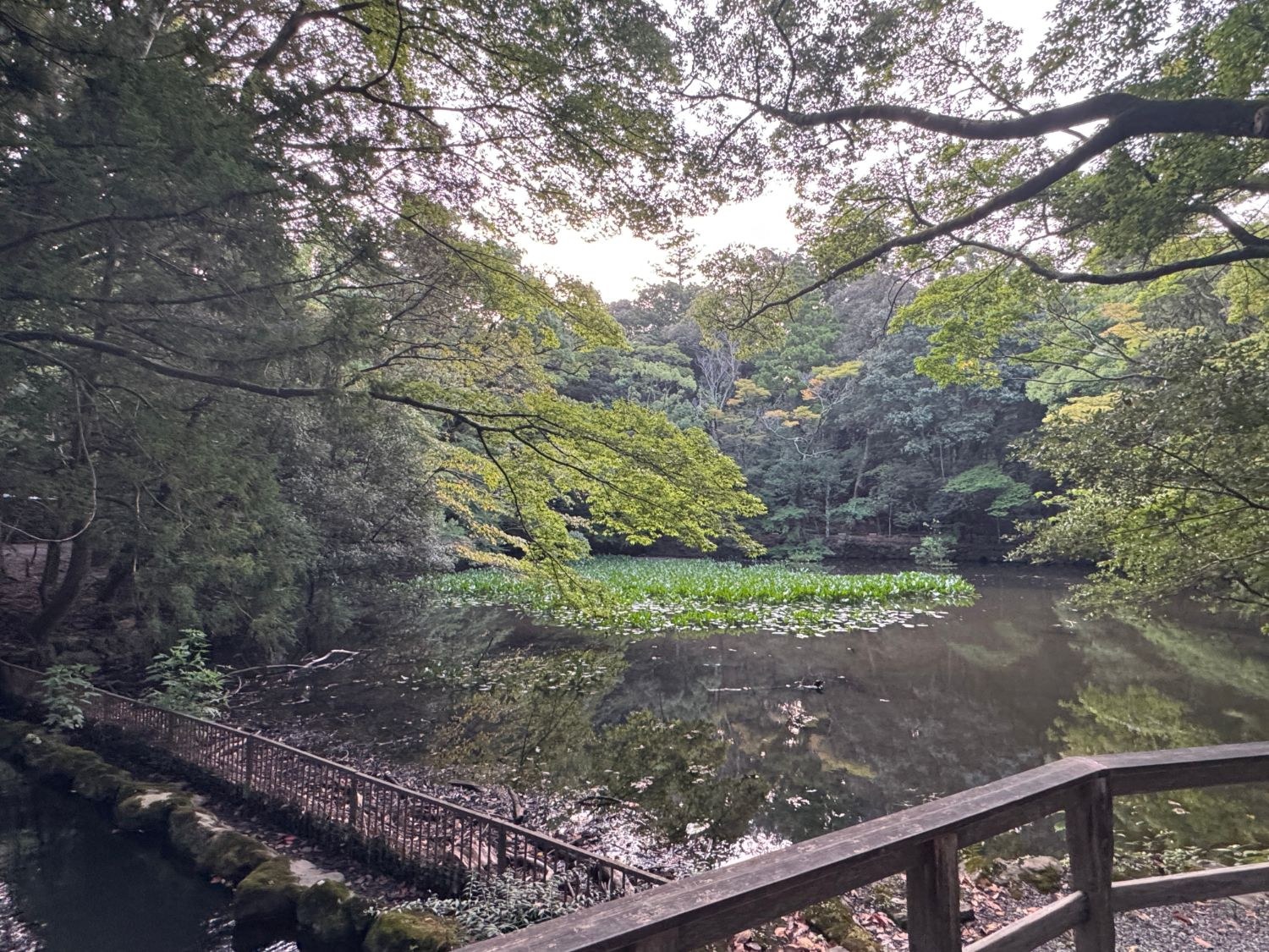 内宮 神苑の池