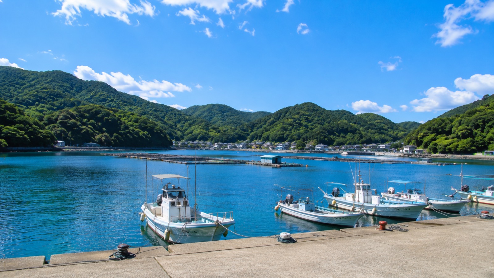 夏の晴れた日の内浦。穏やかな青い湾に漁船と養殖いかだが並ぶ