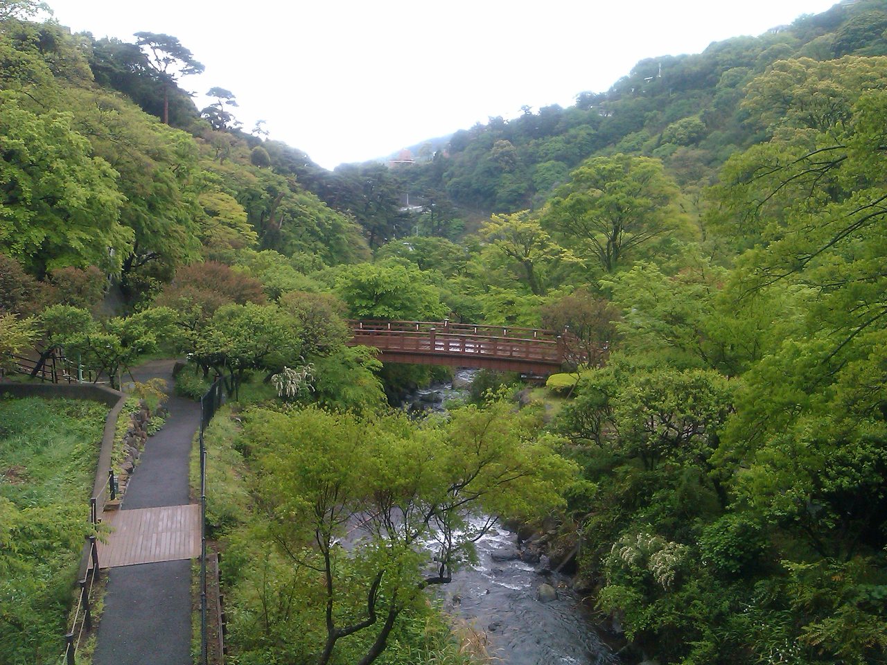 熱海梅園の園内を見渡した眺め