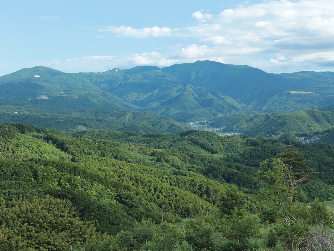 伊豆の中央部に横たわる天城連山