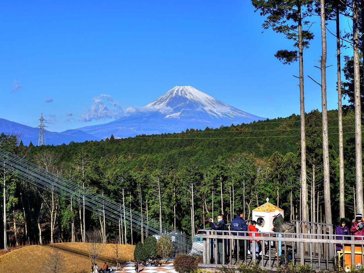 三島スカイウォーク周辺の森と富士山
