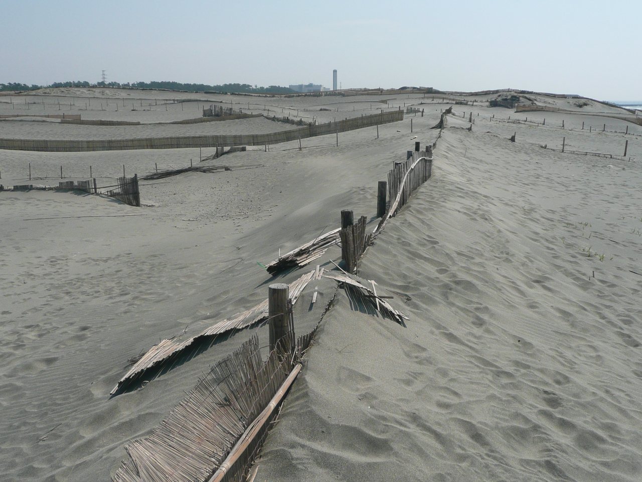 中田島砂丘（浜松市）
