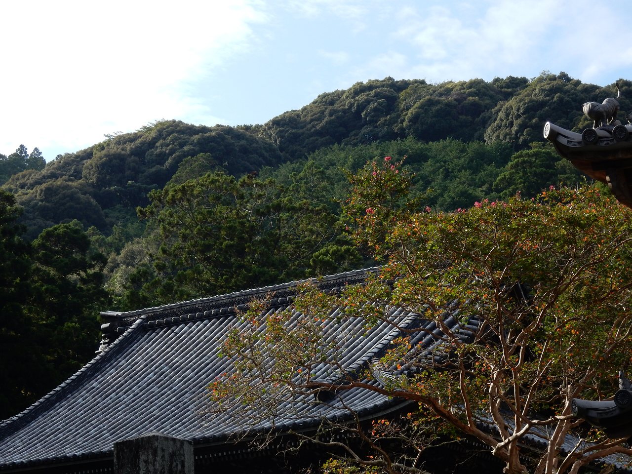 山に囲まれた方広寺の伽藍の屋根
