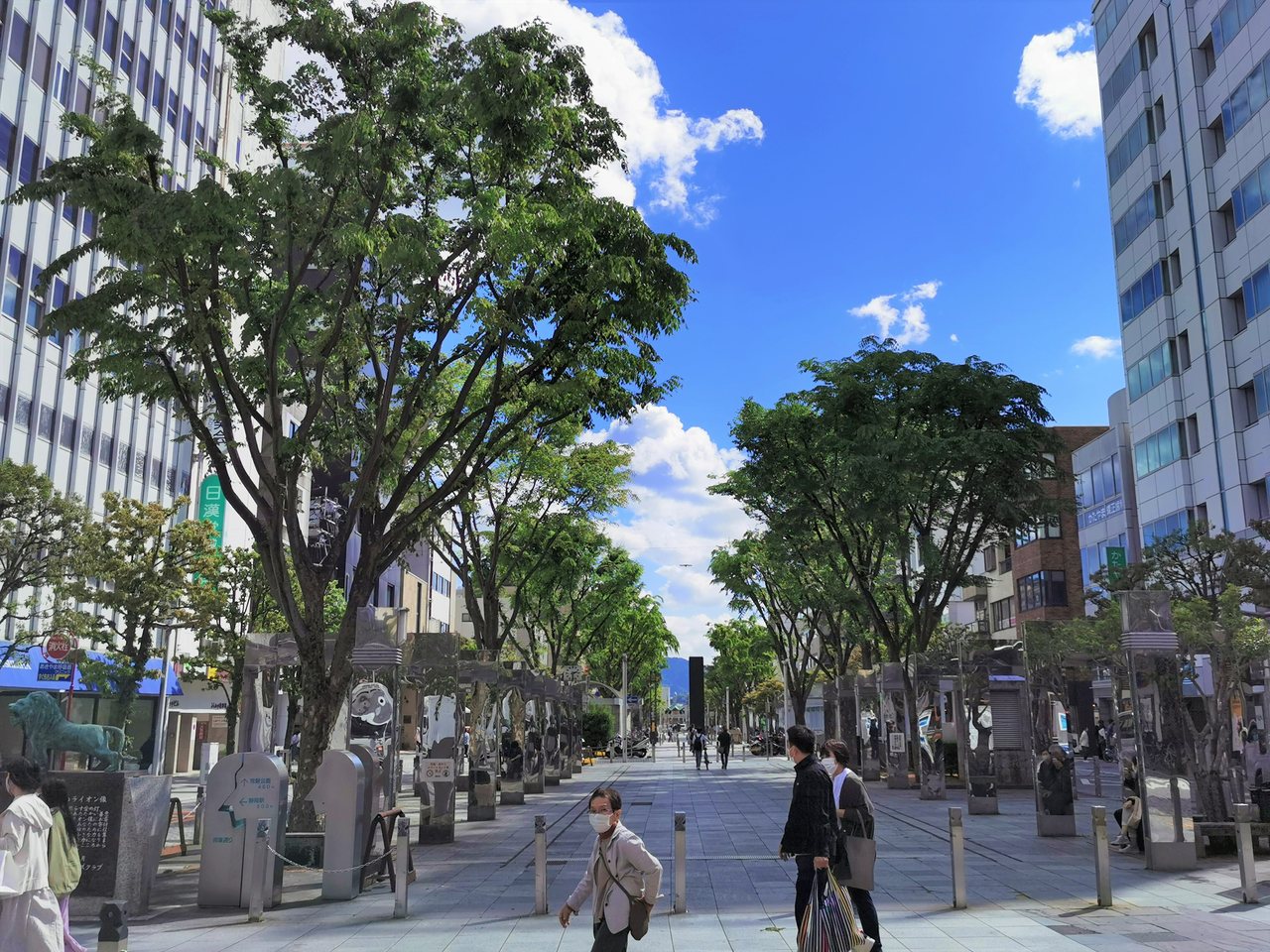 静岡市葵区の青葉緑地の並木道
