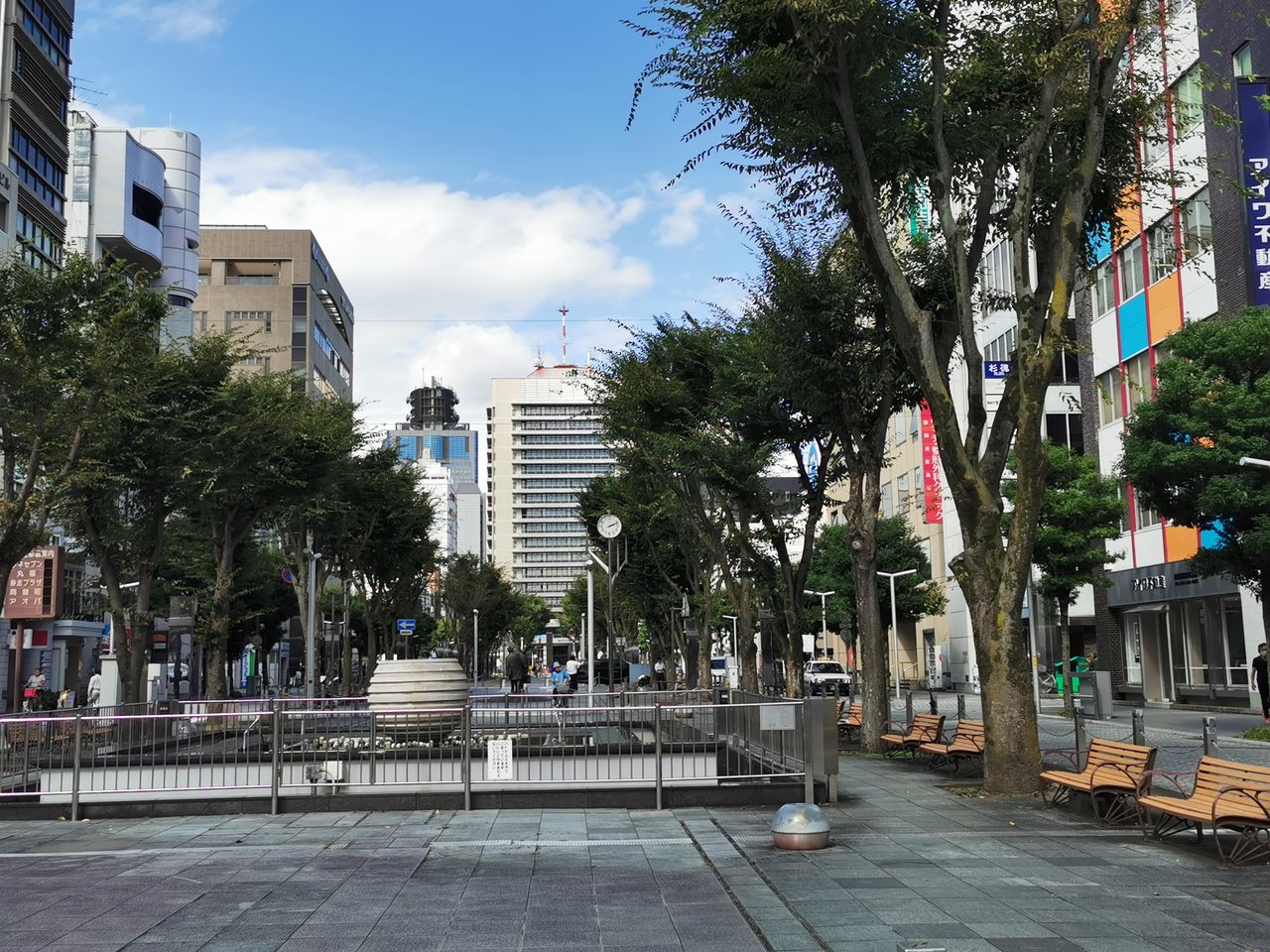 静岡市葵区の青葉シンボルロード