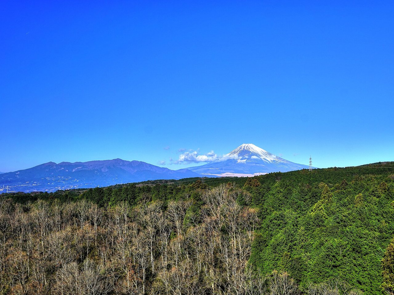 三島スカイウォーク周辺の森の向こうに見える富士山