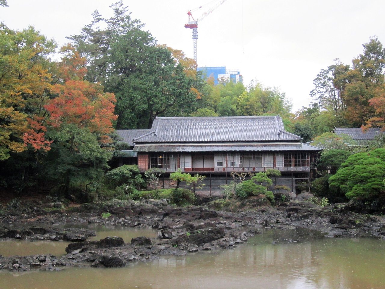 秋の楽寿園、楽寿館と小浜池