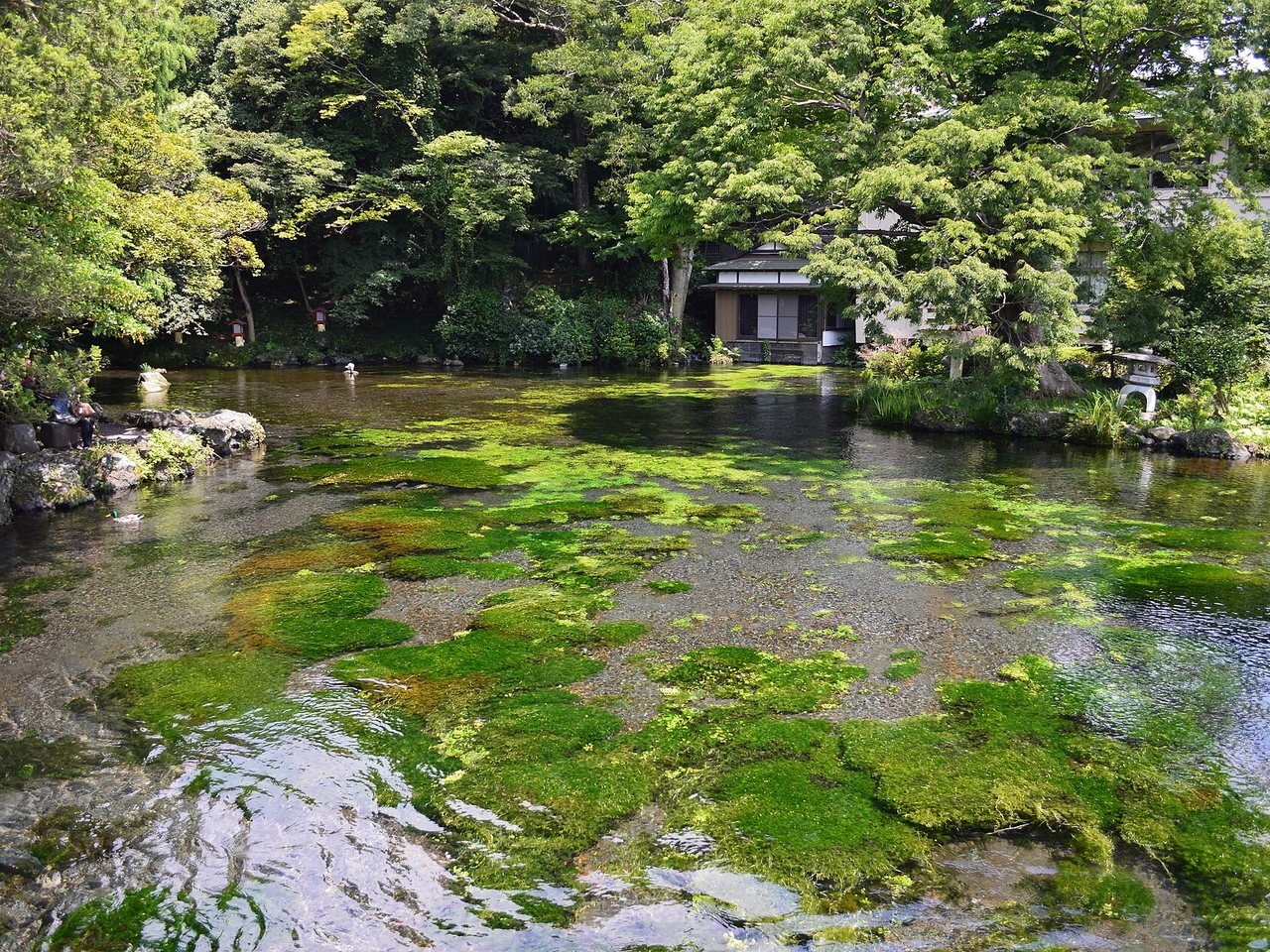 富士山本宮浅間大社の湧玉池