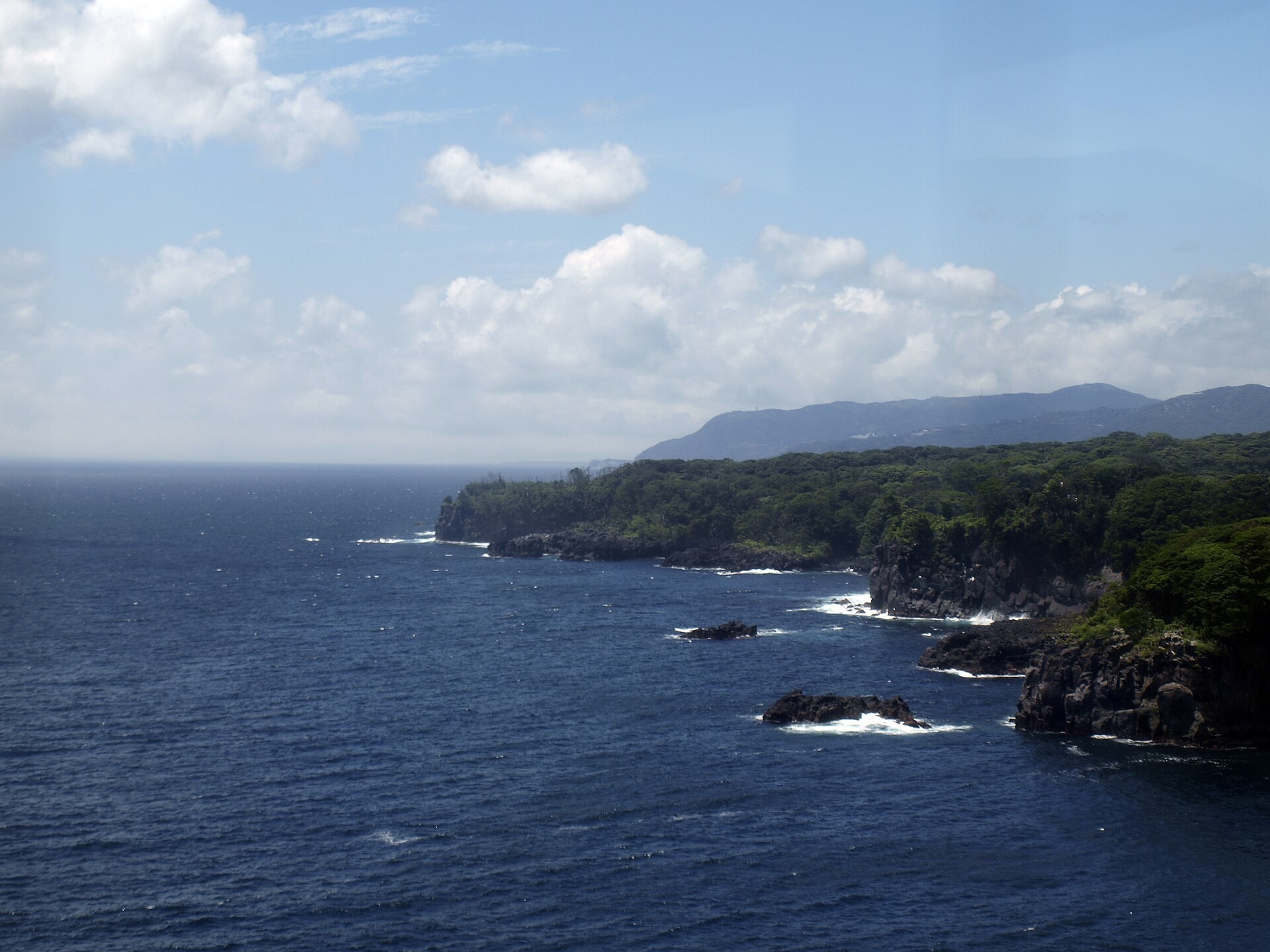 伊東市の城ヶ崎海岸の断崖と海岸線