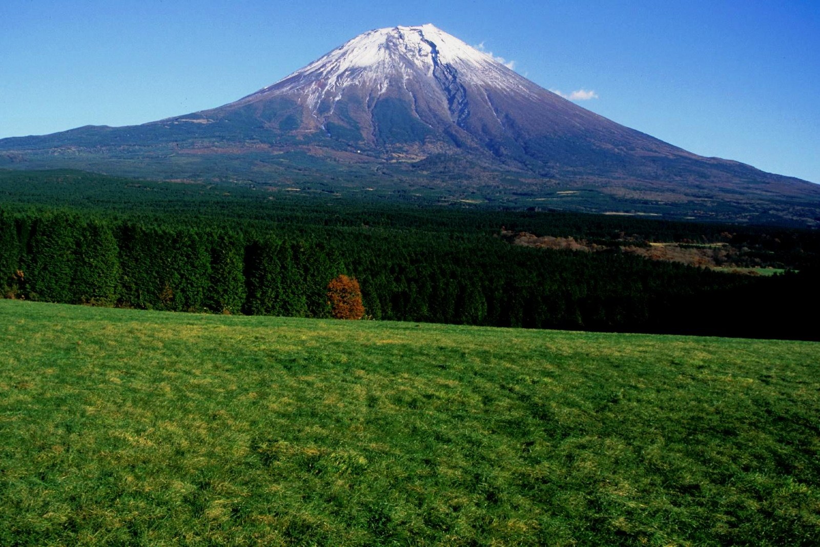 朝霧高原の牧草地と富士山