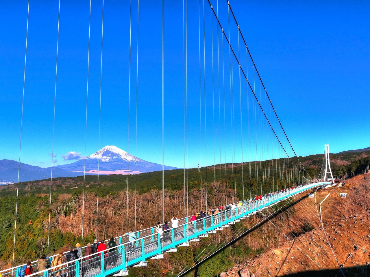 三島スカイウォークと富士山