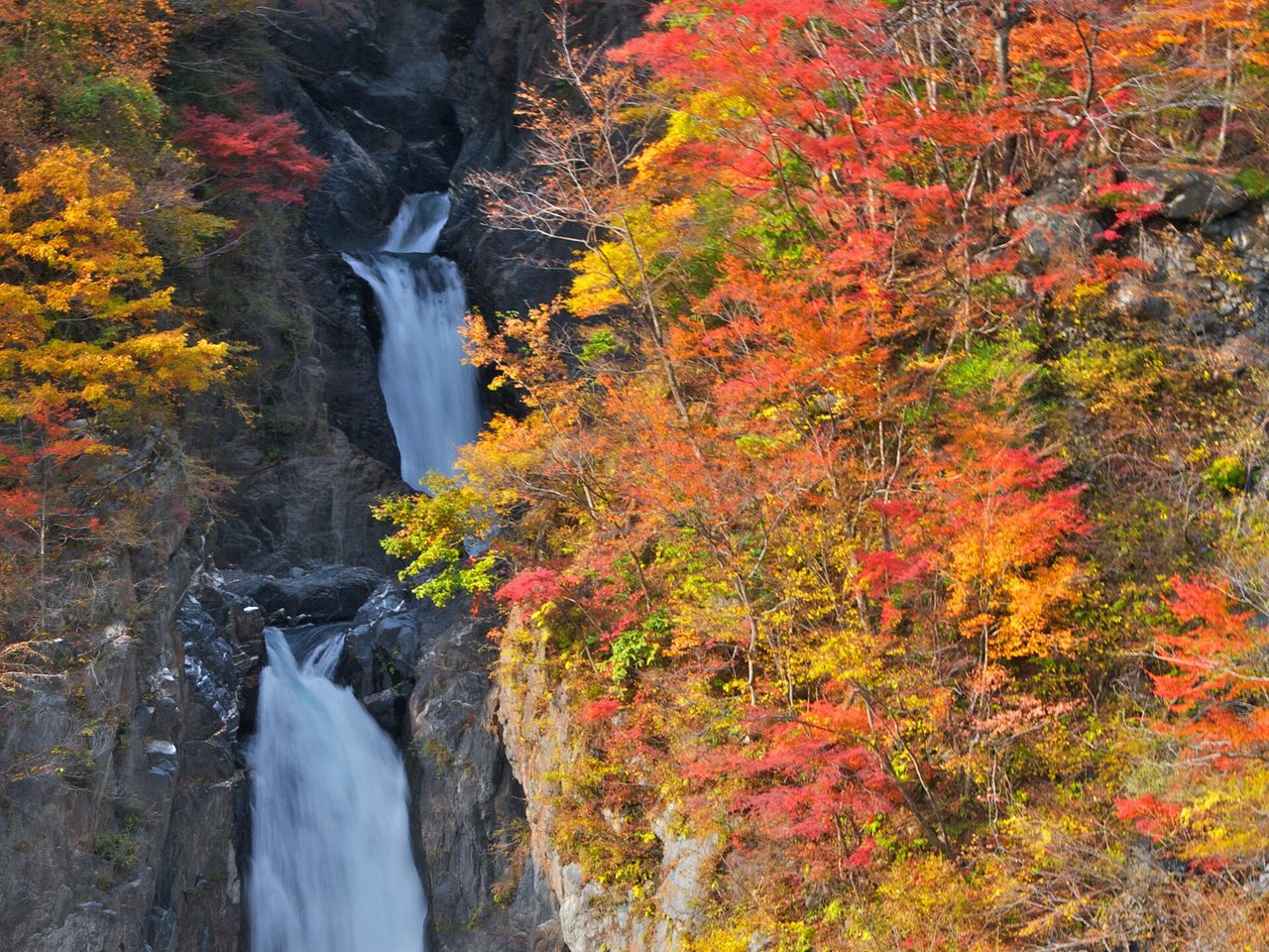 梅ヶ島の赤水の滝と、周囲を彩る紅葉