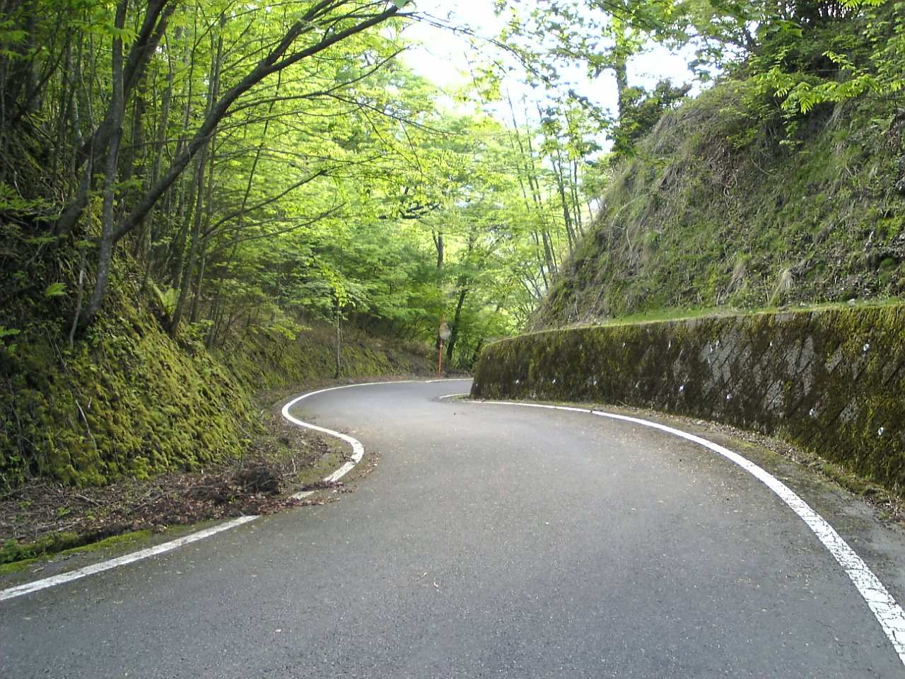 山あいを通る林道豊岡梅ヶ島線の道