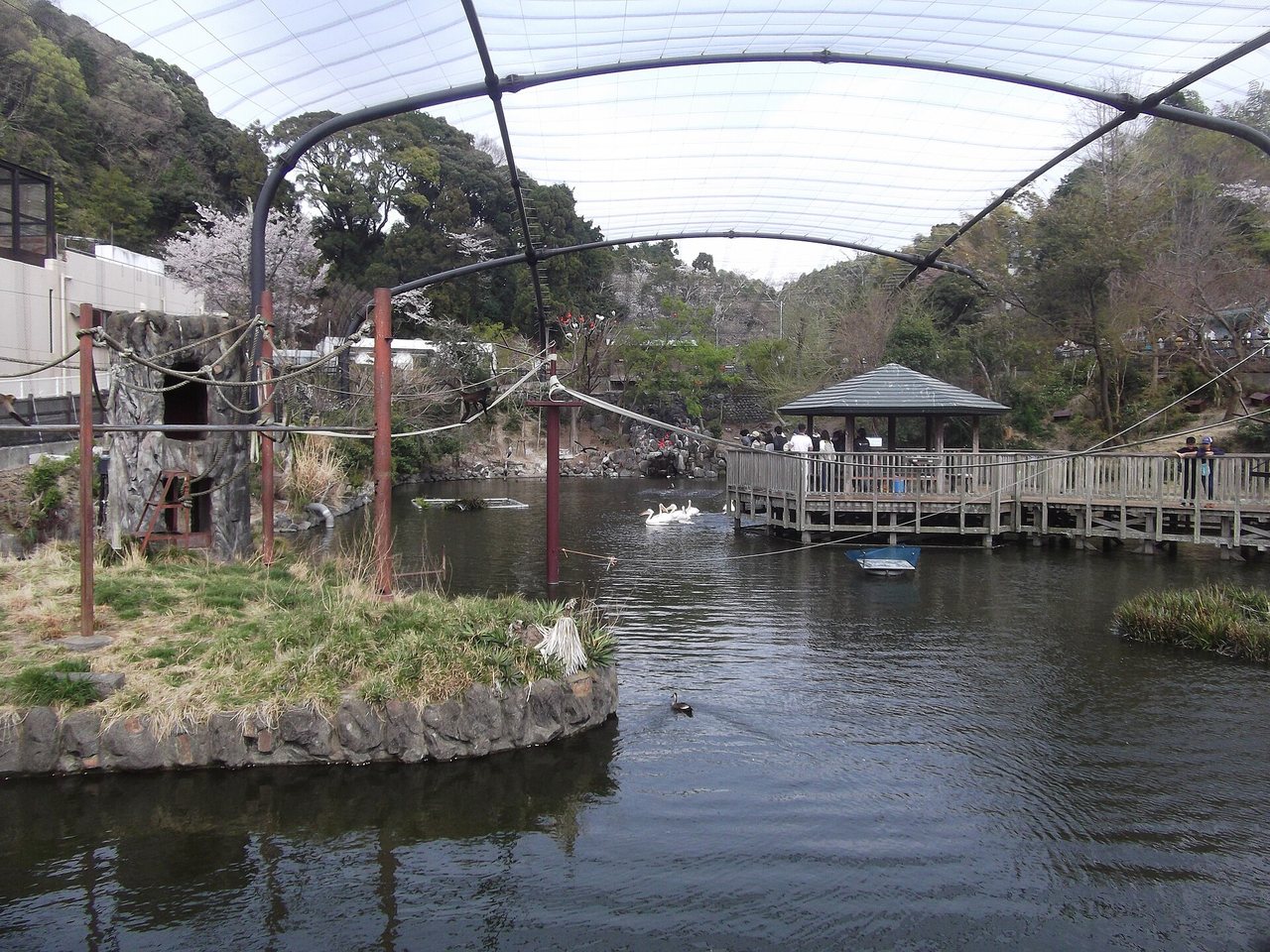 日本平動物園のフライングメガドーム