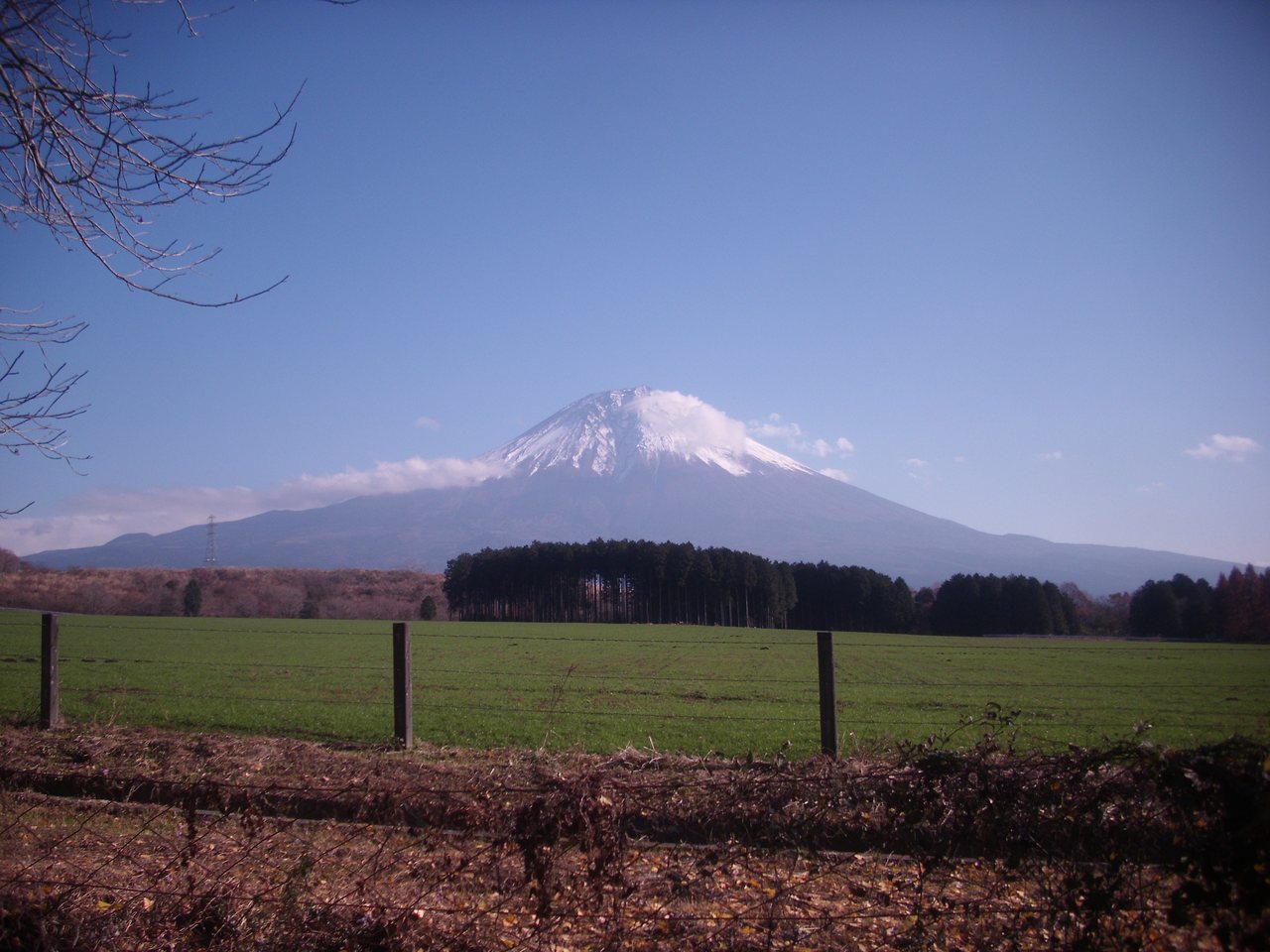 冬の朝霧高原と富士山
