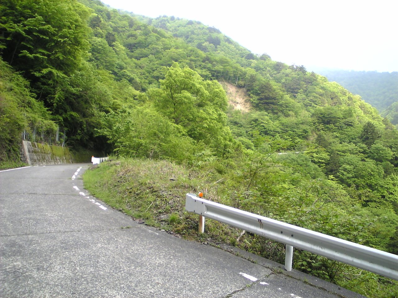 静岡市内の林道豊岡梅ヶ島線